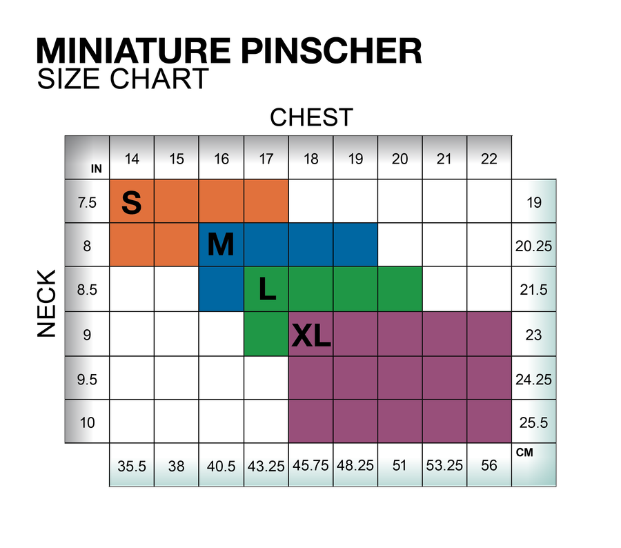 Miniature Pinscher Winter Coat