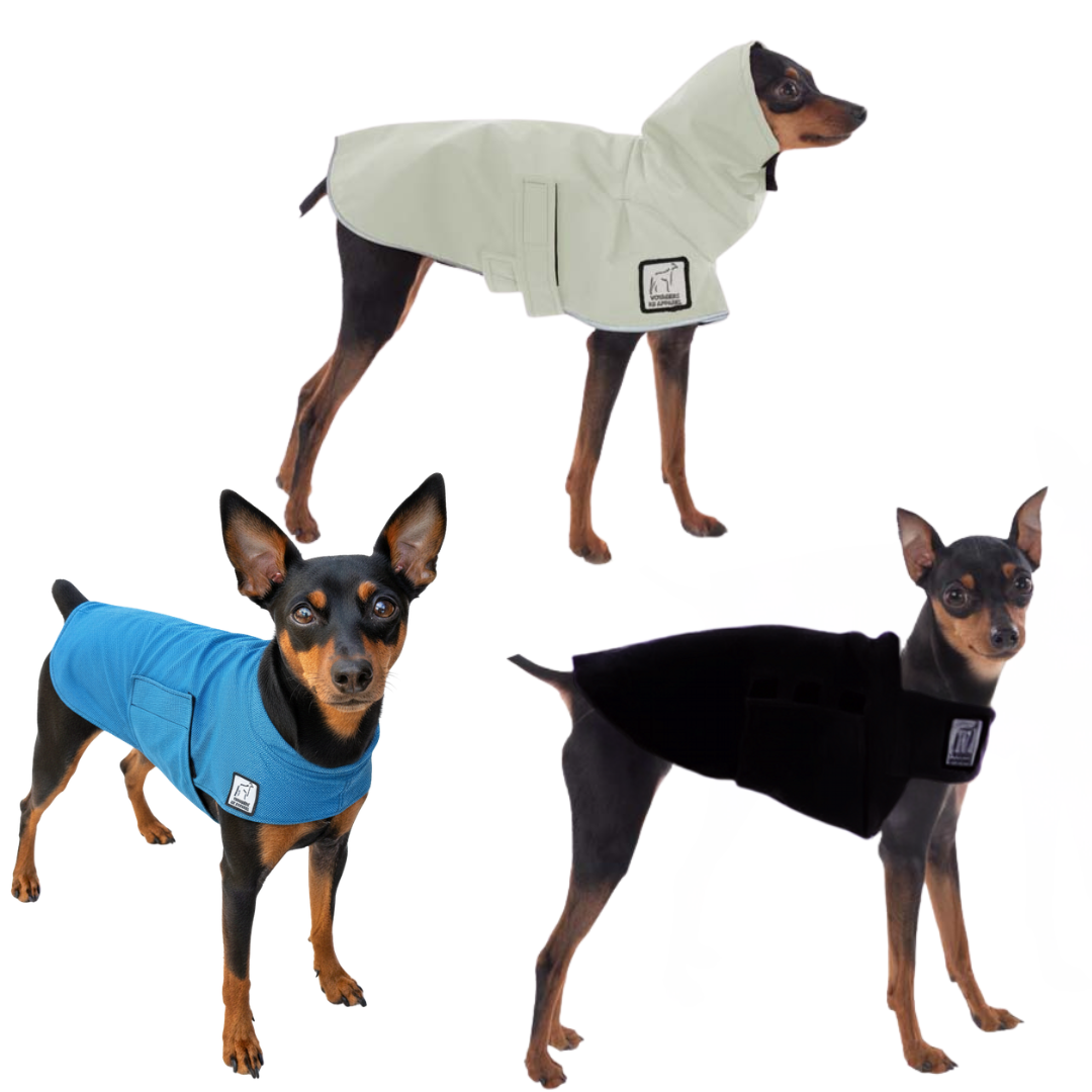 Miniature Pinscher Nomad Bundle