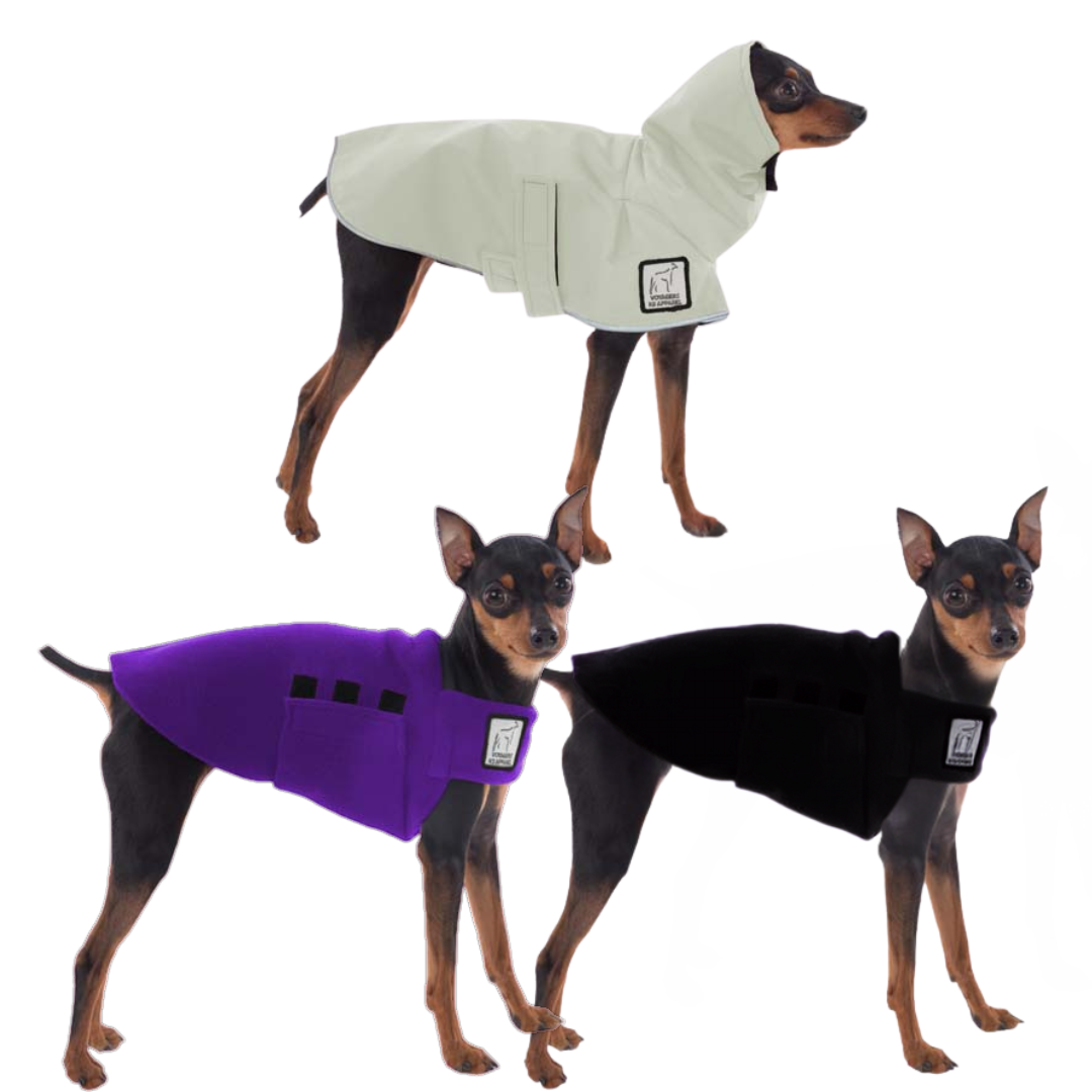 Miniature Pinscher Wanderer Bundle