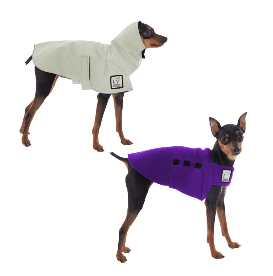 Miniature Pinscher Camper Bundle