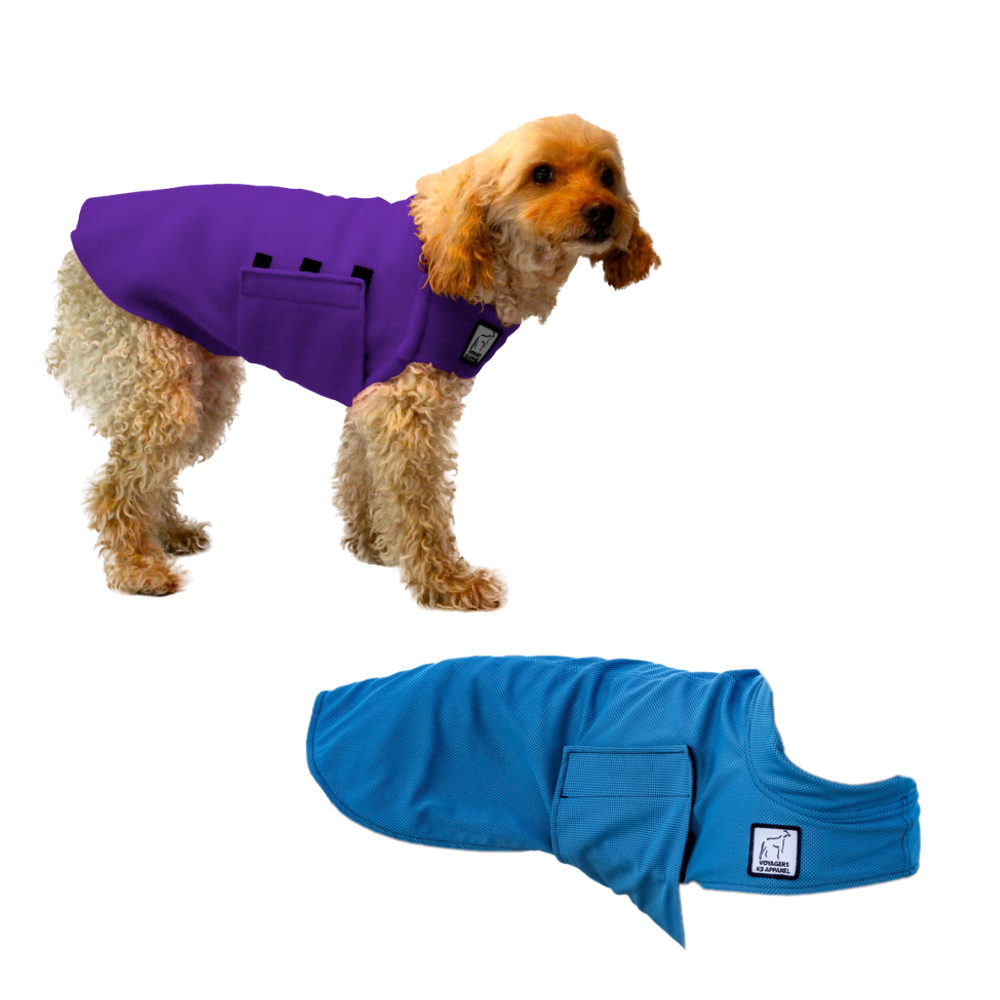 Miniature Poodle Hiker Bundle