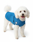 Miniature Poodle Cooling Coat