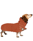 Miniature Dachshund Raincoat