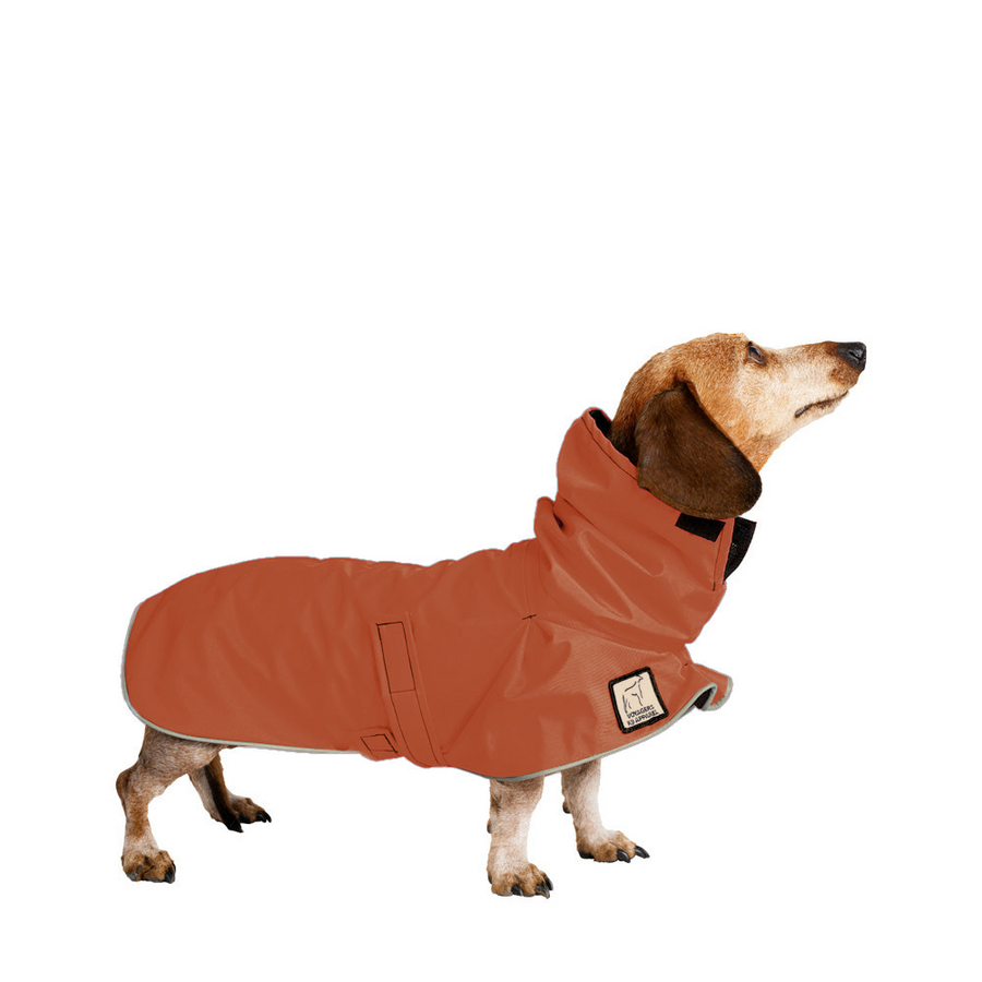 Miniature dachshund raincoat hotsell