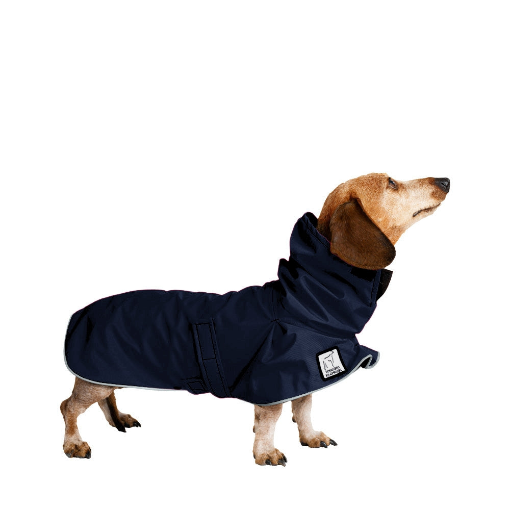 Miniature Dachshund Raincoat