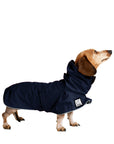 Miniature Dachshund Raincoat