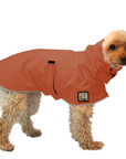 ReCoat ♻️ Miniature Poodle Raincoat