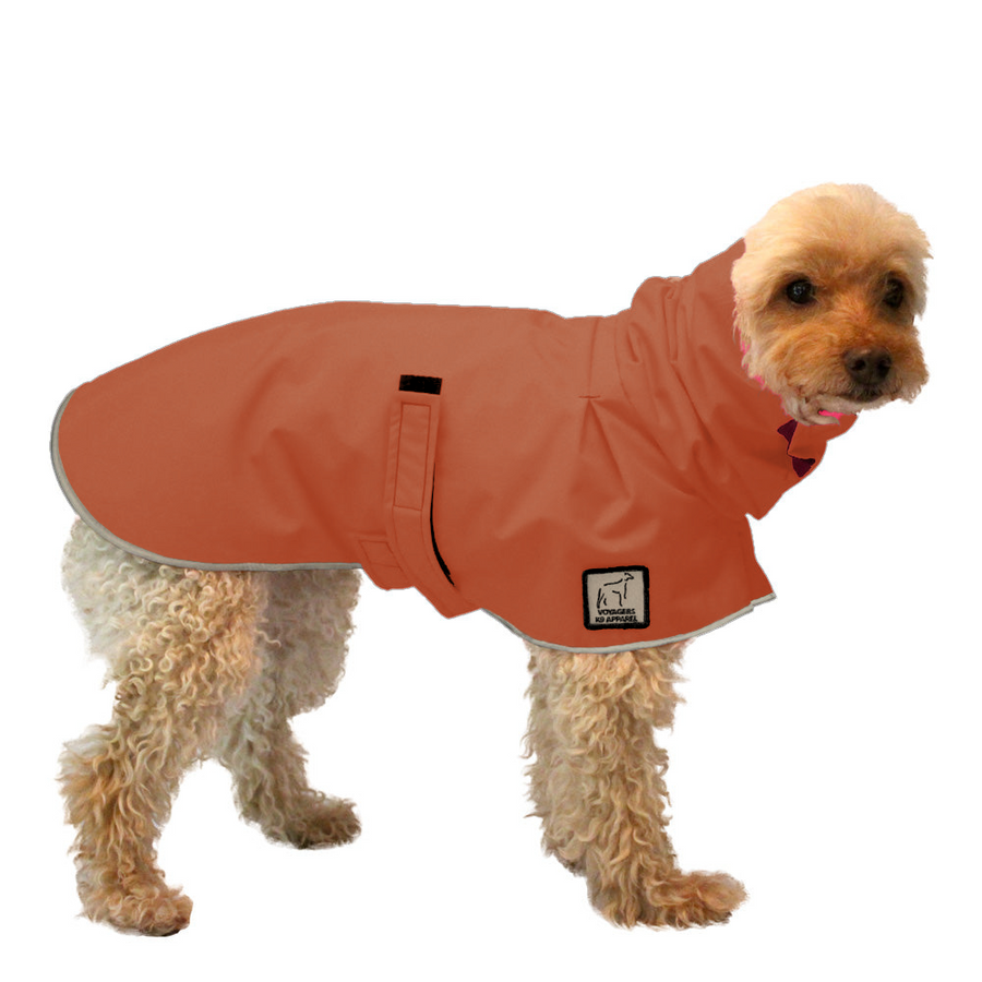 Miniature Poodle Raincoat