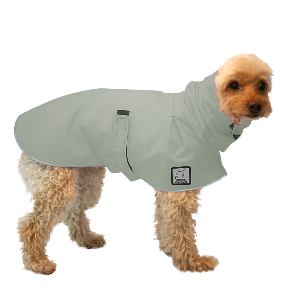 Miniature Poodle Raincoat