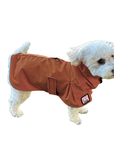 Miniature Poodle Raincoat