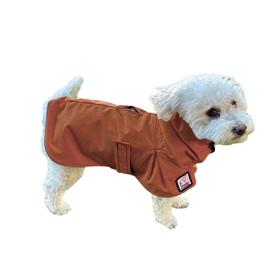 Miniature Poodle Raincoat