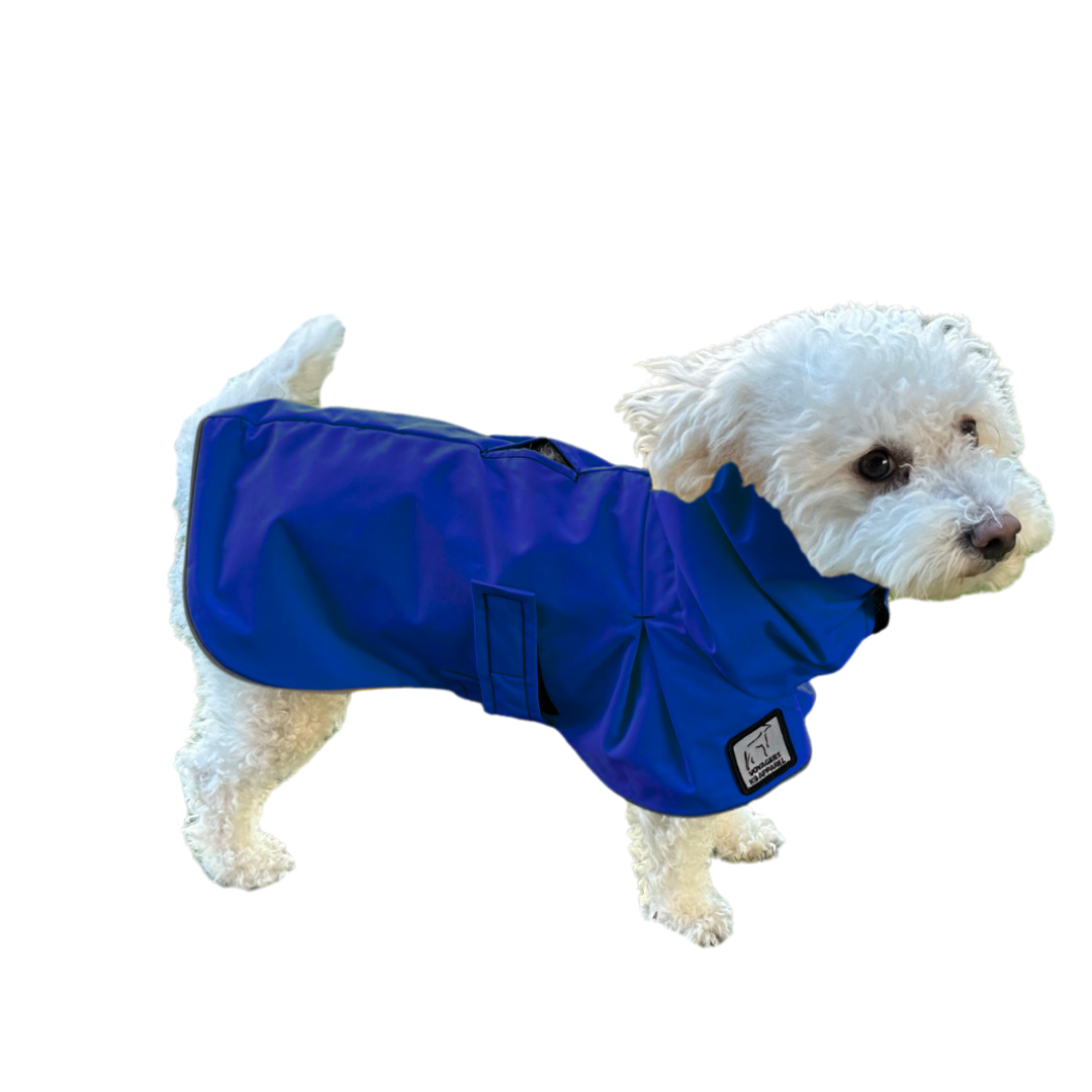 Miniature Poodle Raincoat