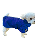Miniature Poodle Raincoat