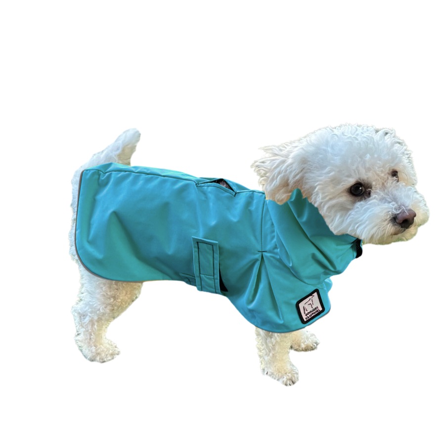 Miniature Poodle Raincoat