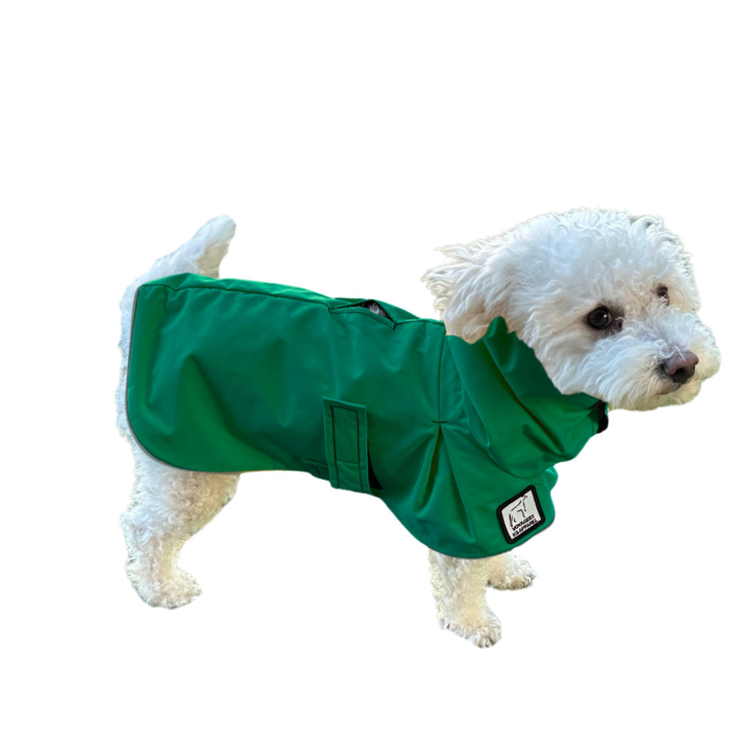 Miniature Poodle Raincoat