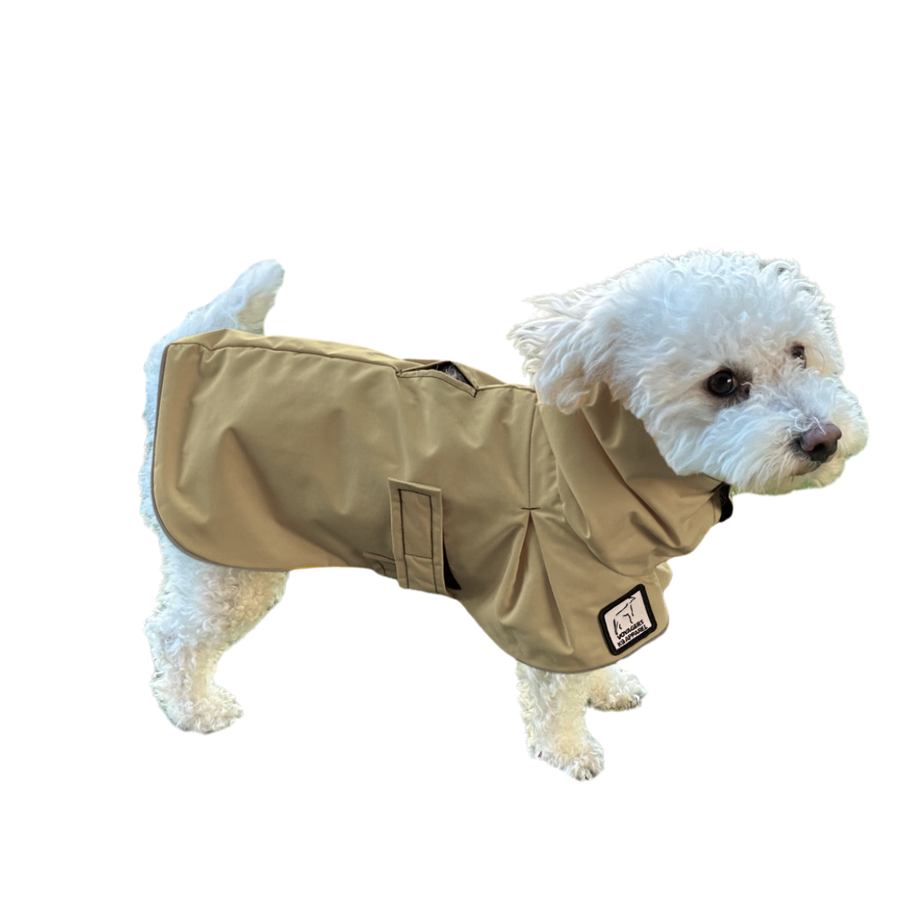 Miniature Poodle Raincoat