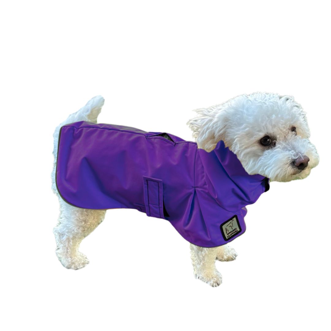 Miniature Poodle Raincoat