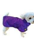 Miniature Poodle Raincoat