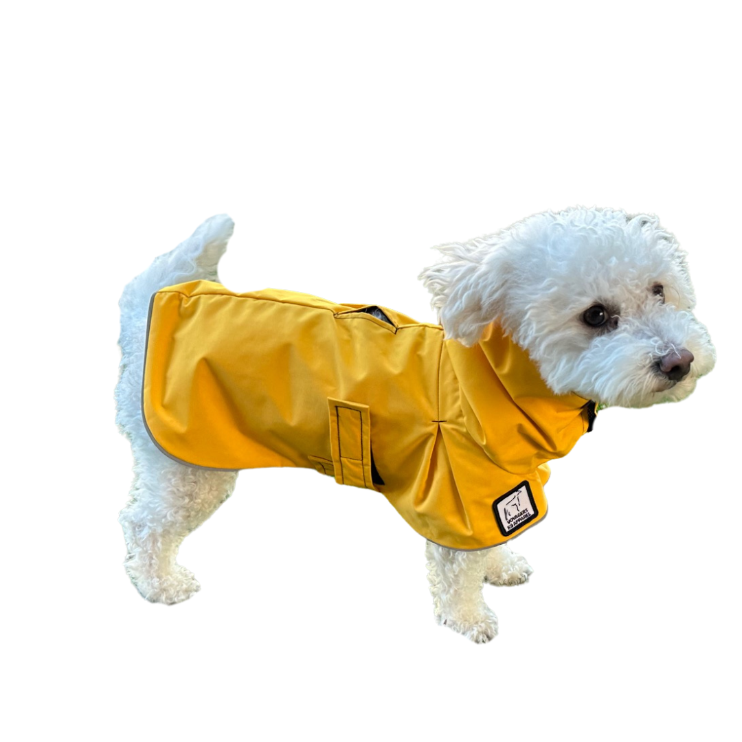 Miniature Poodle Dog Rain Coat – Voyagers K9 Apparel