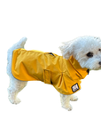 Miniature Poodle Raincoat