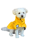 Voyager K9 Apparel Mini Poodle Raincoat in Yellow