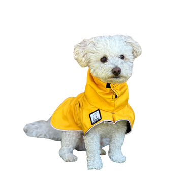 Voyager K9 Apparel Mini Poodle Raincoat in Yellow