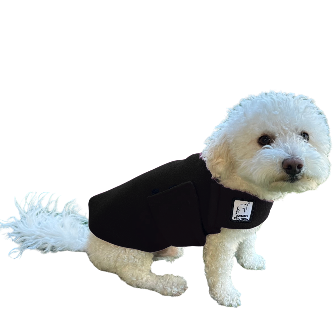 Miniature Poodle Tummy Warmer