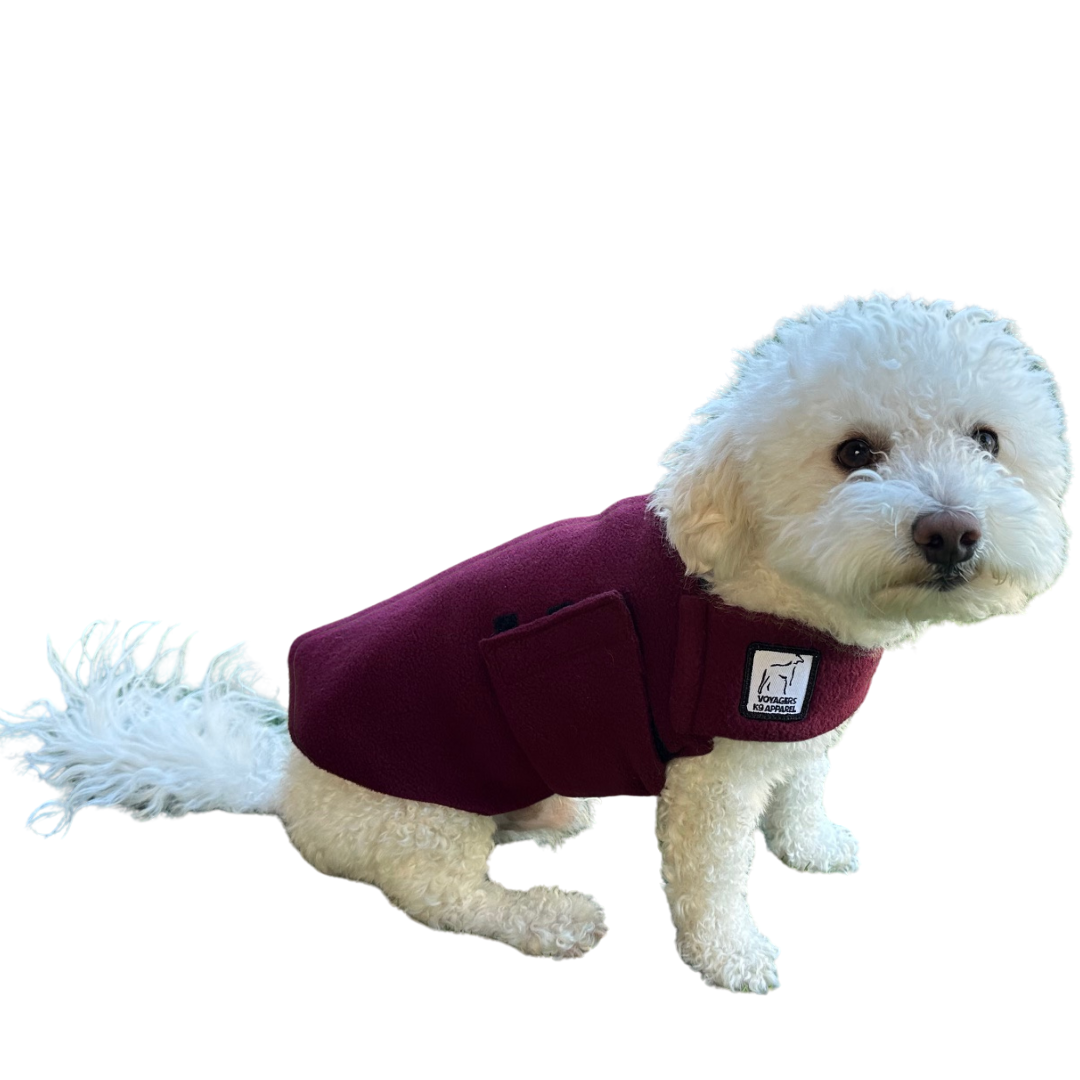 Miniature Poodle Tummy Warmer