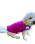 Miniature Poodle Tummy Warmer