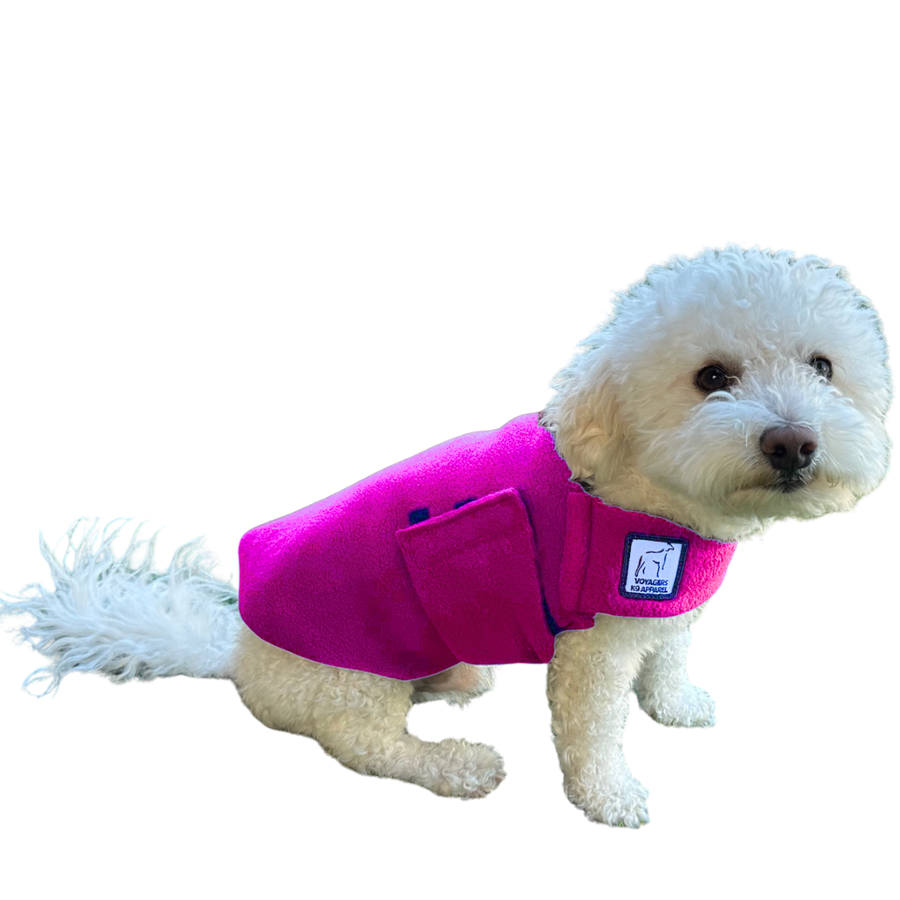 Miniature Poodle Tummy Warmer