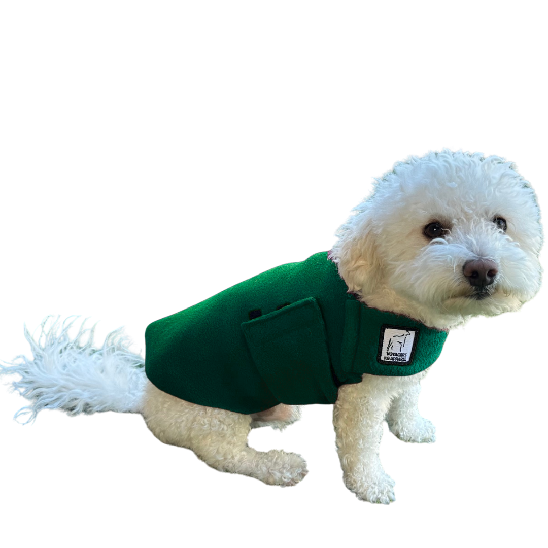 Miniature Poodle Tummy Warmer