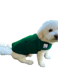 Miniature Poodle Tummy Warmer