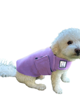 Miniature Poodle Tummy Warmer