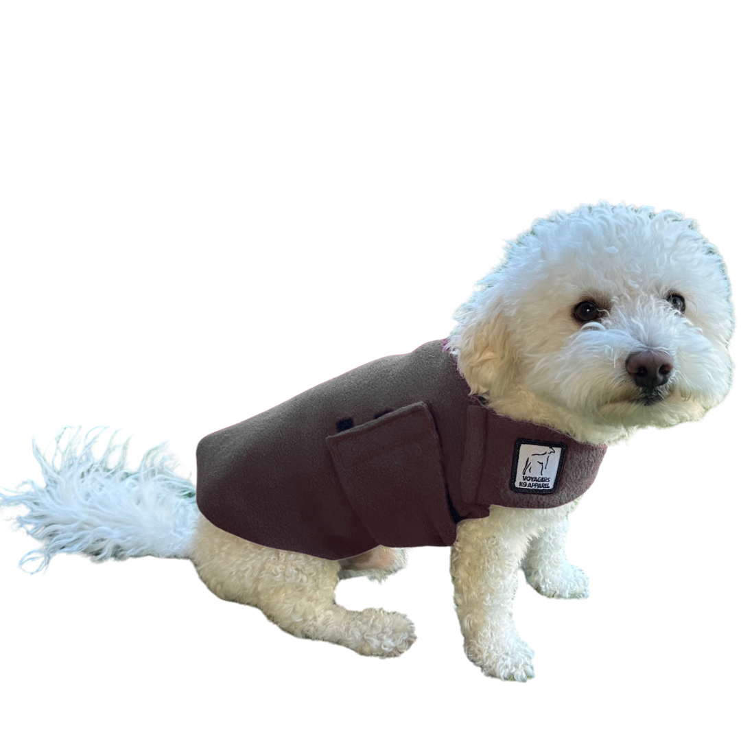 Miniature Poodle Tummy Warmer