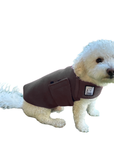 Miniature Poodle Tummy Warmer