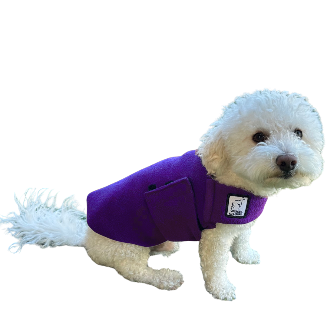 Miniature Poodle Tummy Warmer