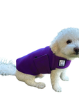 Miniature Poodle Tummy Warmer