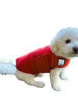 Miniature Poodle Tummy Warmer
