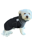 Miniature Poodle Winter Coat