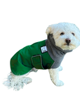 Miniature Poodle Winter Coat