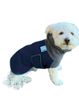 Miniature Poodle Winter Coat