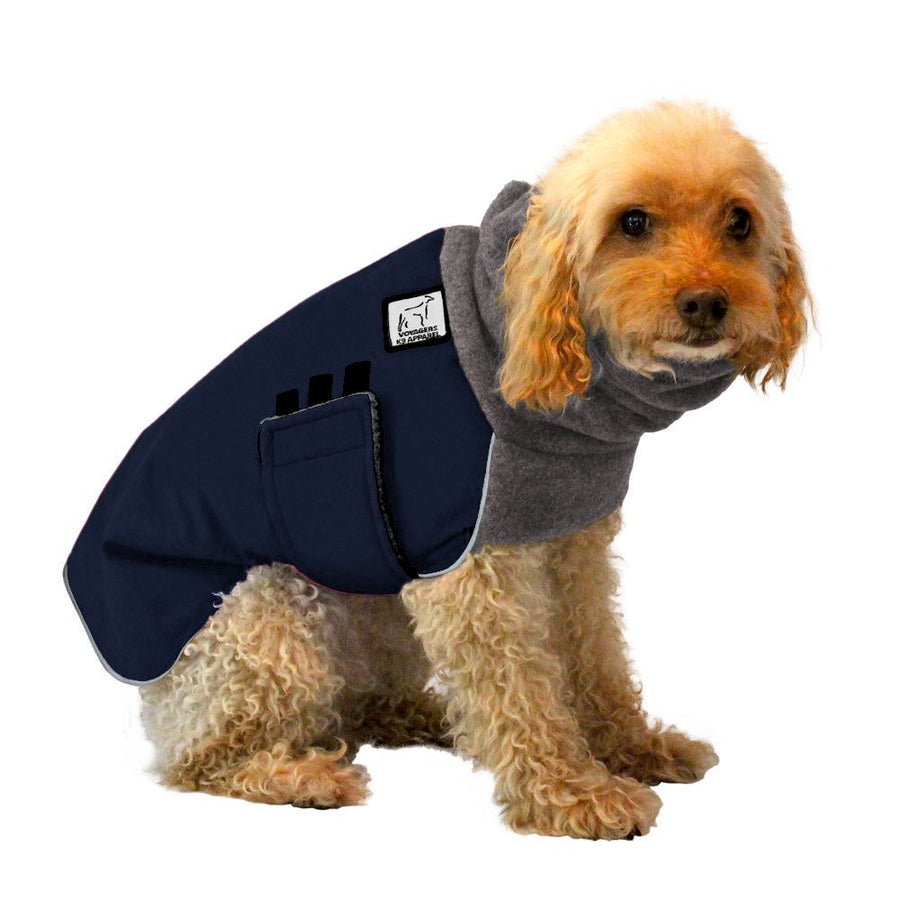 Miniature Poodle Winter Coat