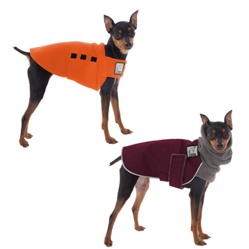 Miniature Pinscher Rover Bundle