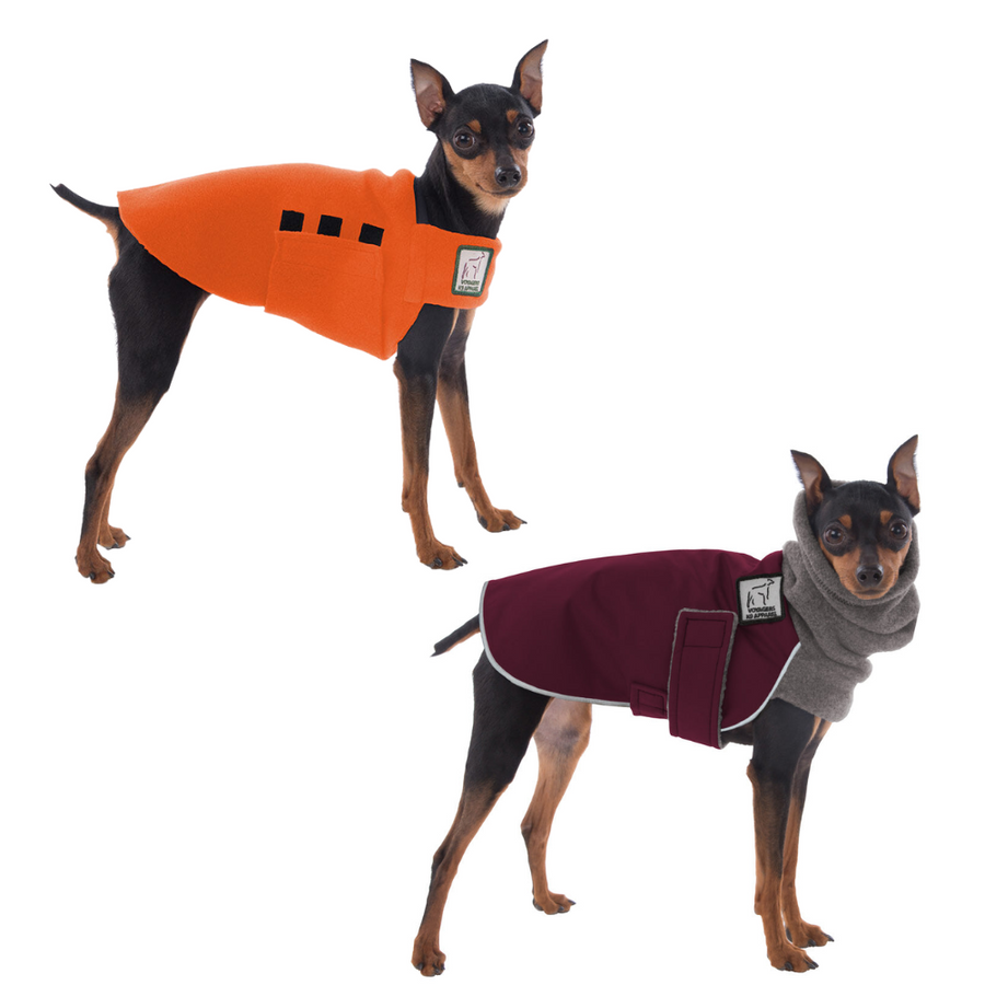 Miniature Pinscher Rover Bundle