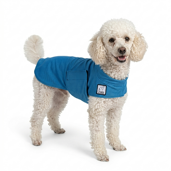 MiniaturePoodleCoolingCoat_gra