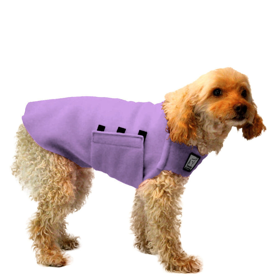 Miniature Poodle Tummy Warmer
