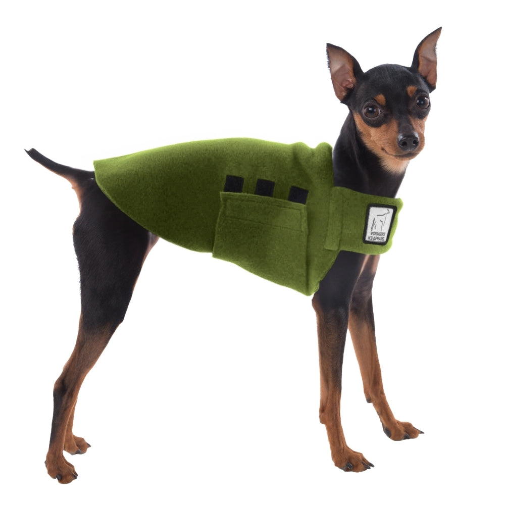 miniature pinscher clothes
