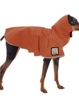 Miniature Pinscher Raincoat