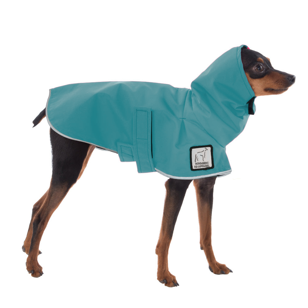 Miniature Pinscher Raincoat
