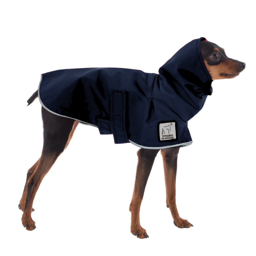Miniature Pinscher Raincoat